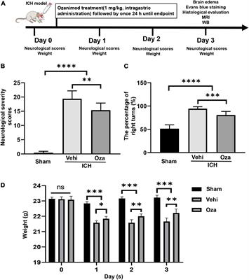 Neuroprotection by Ozanimod Following Intracerebral Hemorrhage in Mice
